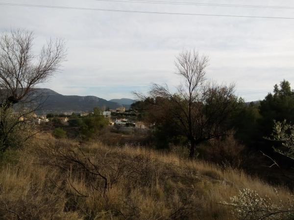 Terreno en calle Cine Capitol