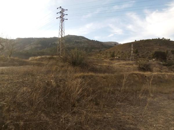 Terreno en calle Cine Capitol
