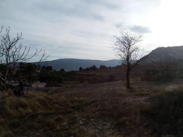 Terreno en calle Cine Capitol