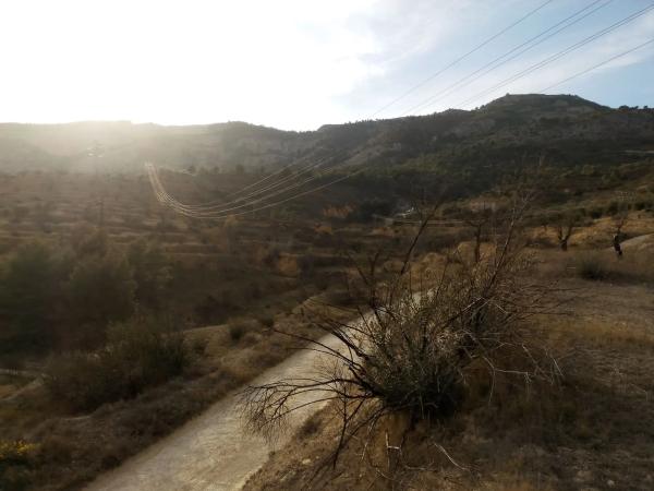 Terreno en calle Cine Capitol