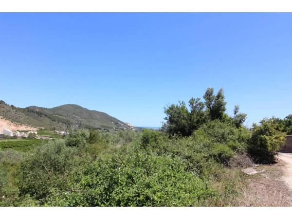 Terreno en Adsubia