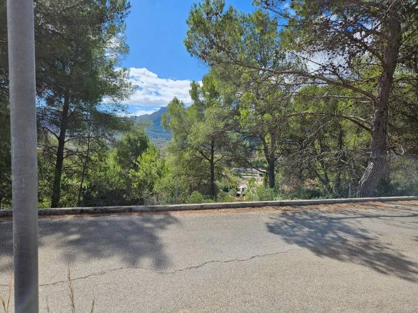 Terreno en calle los Alcornoques, 120