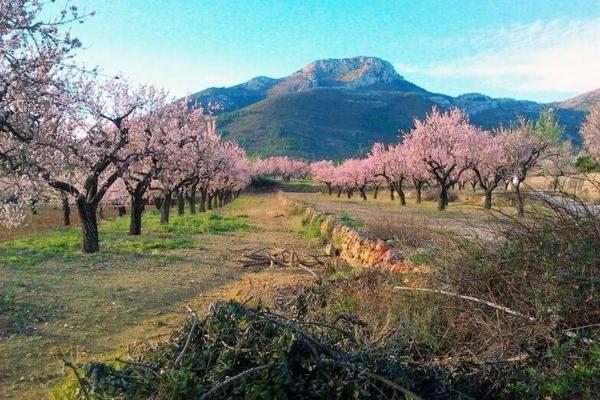 Terreno en calle los Alcornoques, 120