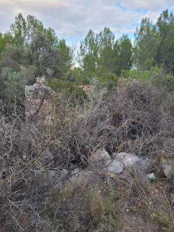 Terreno en Casa Maestre