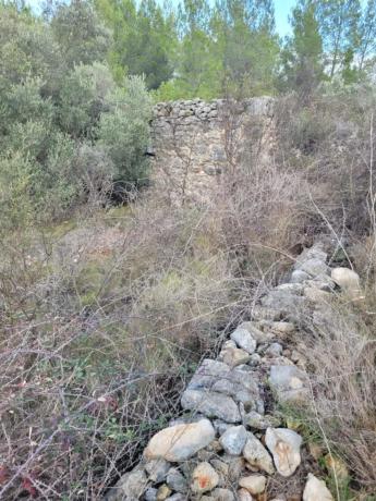 Terreno en Casa Maestre