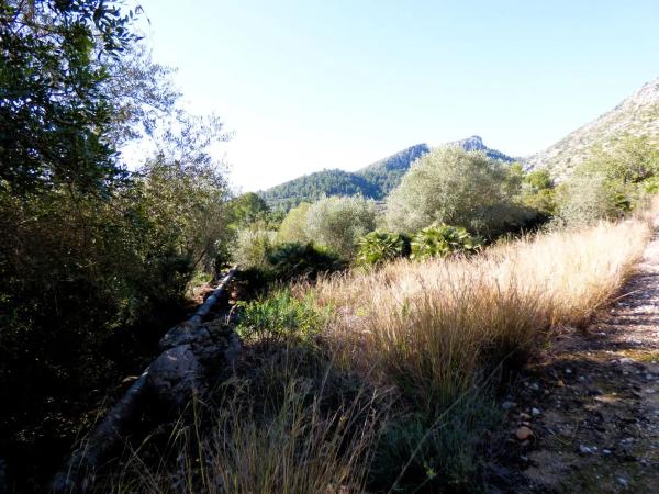 Terreno en Partida Tosals, 2