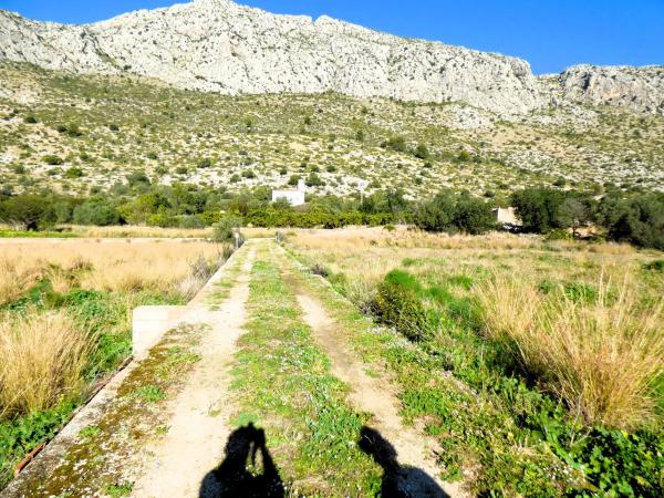 Terreno en Partida Tosals, 2