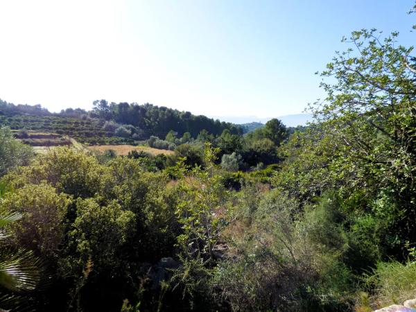 Terreno en Partida Tosals, 2