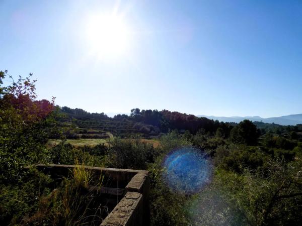 Terreno en Partida Tosals, 2