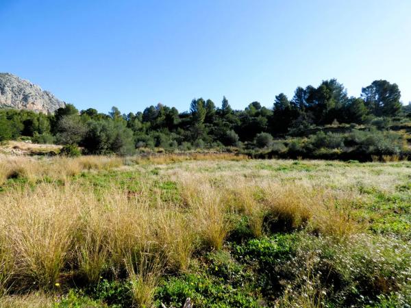 Terreno en Partida Tosals, 2