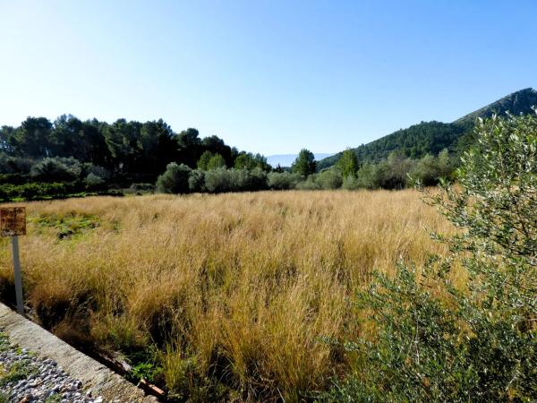 Terreno en Partida Tosals, 2