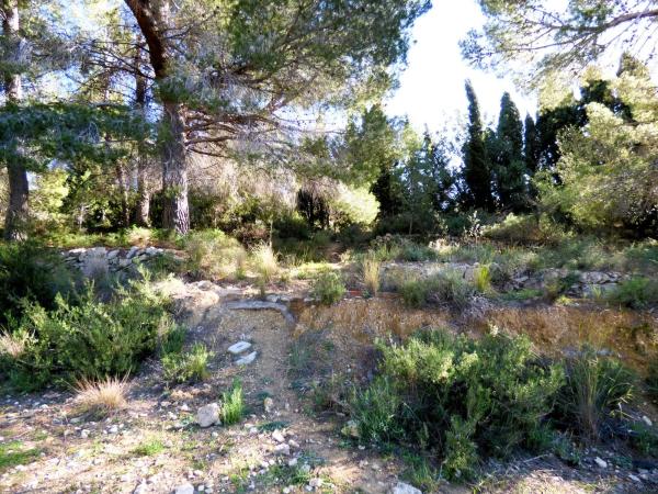 Terreno en Partida Tosals, 2