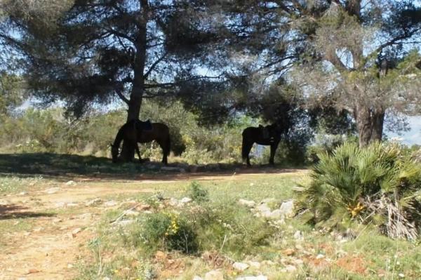 Terreno en Benidoleig