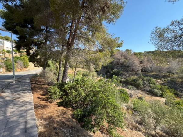 Terreno en La Fustera