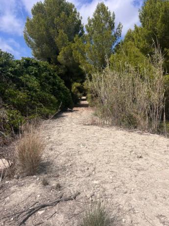 Terreno en Benissa pueblo