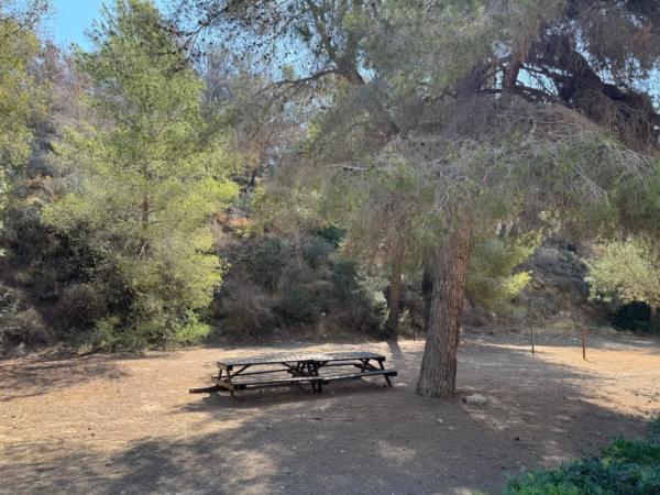 Terreno en La Fustera