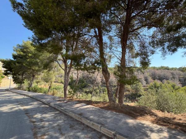 Terreno en La Fustera