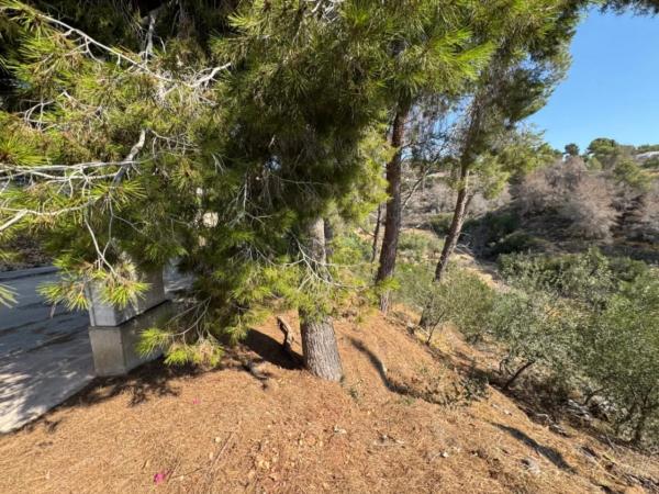 Terreno en La Fustera