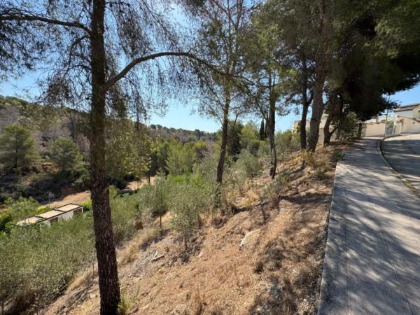 Terreno en La Fustera