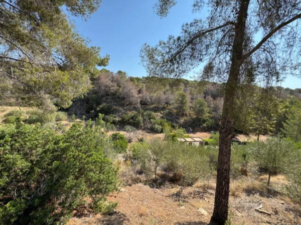 Terreno en La Fustera