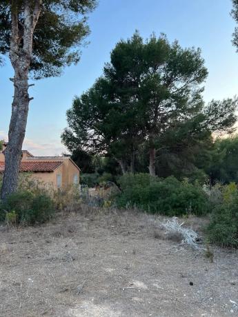 Terreno en calle el Moixó, 11