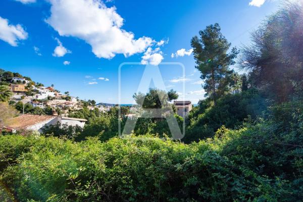 Terreno en La Viña - Montemar - San Jaime