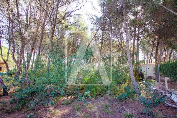 Terreno en La Fustera