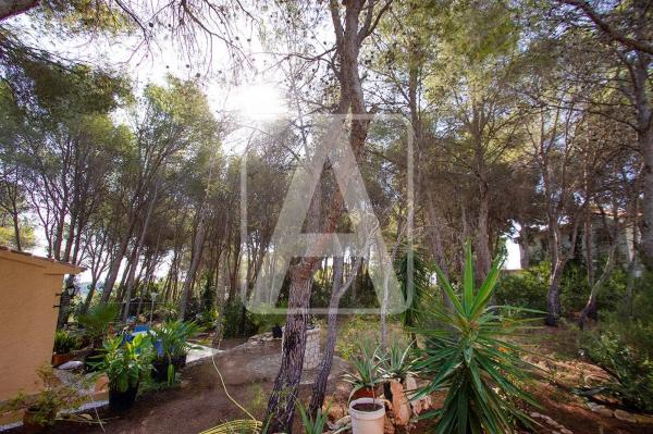 Terreno en La Fustera