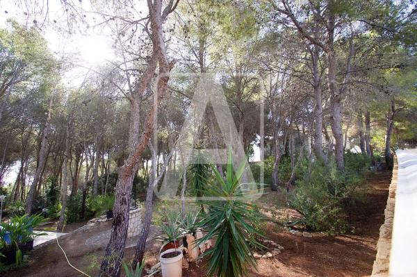 Terreno en La Fustera