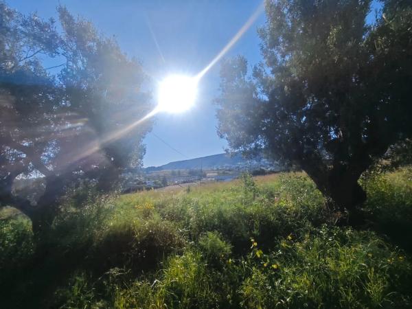 Terreno en Les Fonts