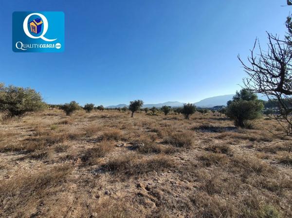 Terreno en San Francisco