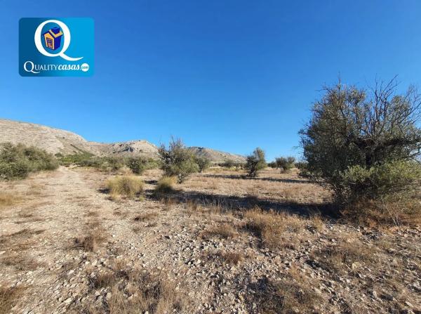 Terreno en San Francisco