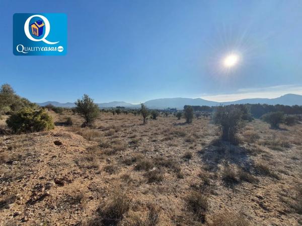 Terreno en San Francisco