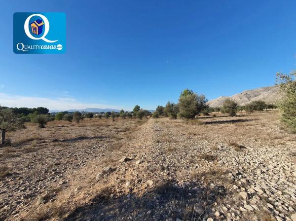 Terreno en San Francisco