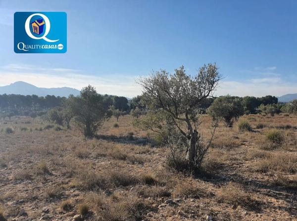 Terreno en San Francisco