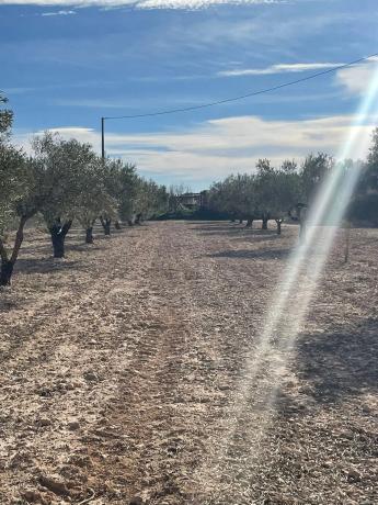Terreno en calle Reyes Católicos, km 1
