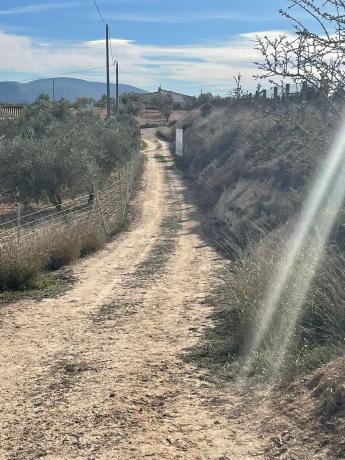 Terreno en calle Reyes Católicos, km 1