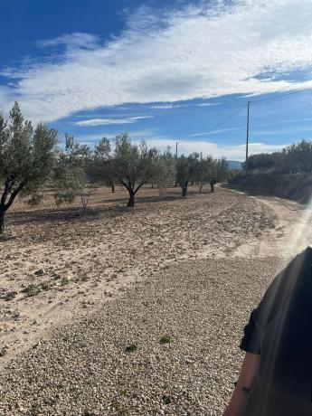 Terreno en calle Reyes Católicos, km 1