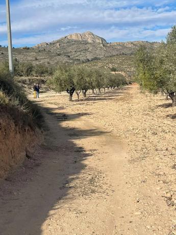 Terreno en calle Reyes Católicos, km 1