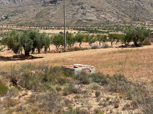 Terreno en La Murada-Los Vicentes