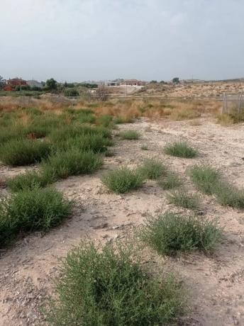 Terreno en Fortuna s/n