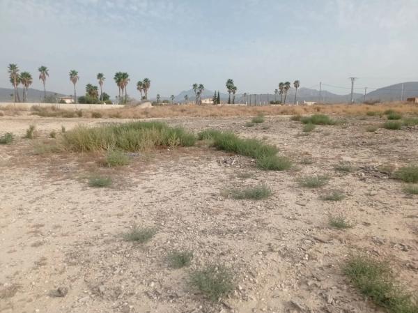 Terreno en Fortuna s/n