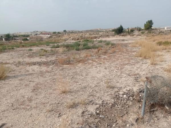 Terreno en Fortuna s/n