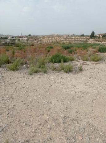 Terreno en Fortuna s/n