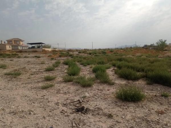 Terreno en Fortuna s/n