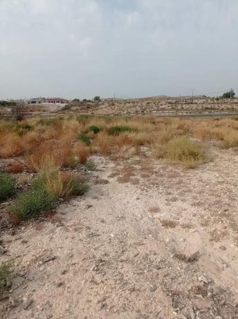 Terreno en Fortuna s/n