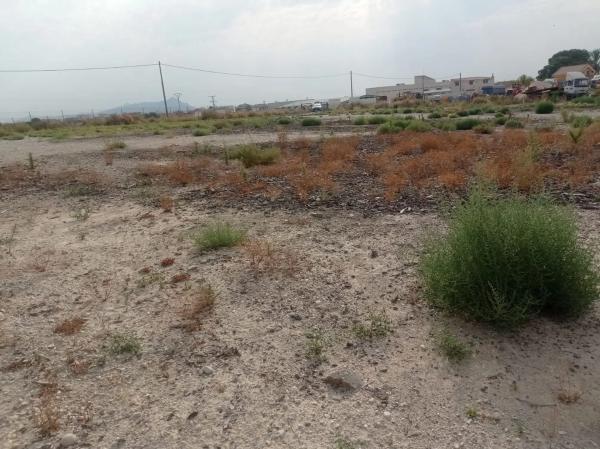 Terreno en Fortuna s/n