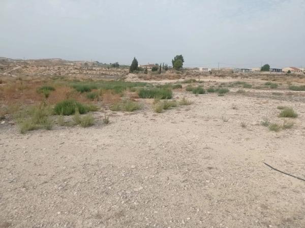 Terreno en Fortuna s/n