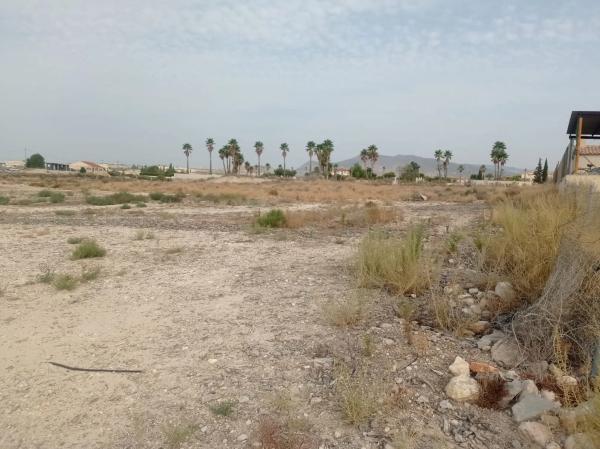 Terreno en Fortuna s/n