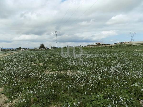 Terreno en La Marina